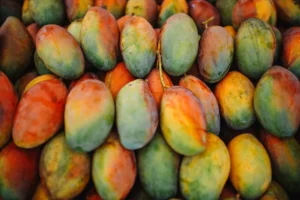 Best Mango Varieties